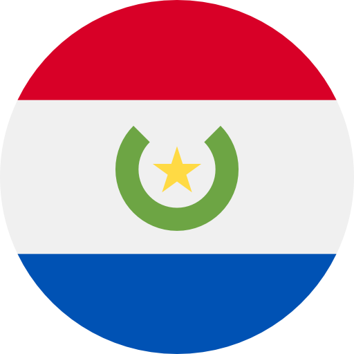 world cup api country flag Paraguay